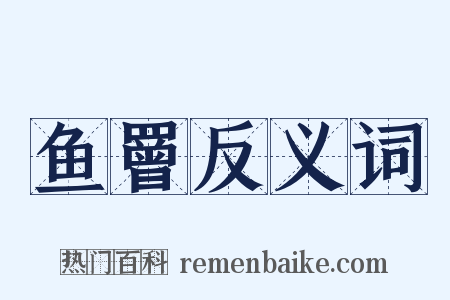 鱼罾反义词是什么意思的图片